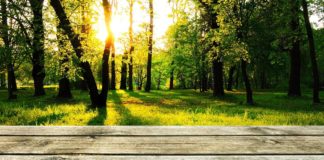 Comment faire une terrasse en bois ? Terrasse bois